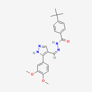 molecular formula C23H26N4O3 B1190484 4-tert-butyl-N'-{[3-(3,4-dimethoxyphenyl)-1H-pyrazol-4-yl]methylene}benzohydrazide 