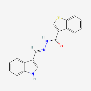 molecular formula C19H15N3OS B1190780 N'-[(2-methyl-1H-indol-3-yl)methylene]-1-benzothiophene-3-carbohydrazide 