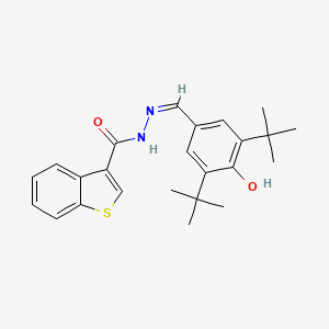 molecular formula C24H28N2O2S B1190782 N'-(3,5-ditert-butyl-4-hydroxybenzylidene)-1-benzothiophene-3-carbohydrazide 