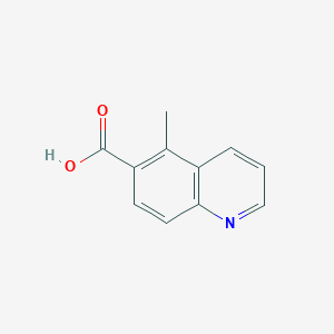 molecular formula C11H9NO2 B11908682 5-Methylquinoline-6-carboxylic acid CAS No. 1824316-41-7