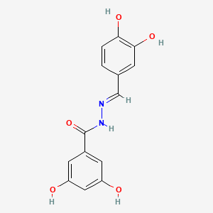 molecular formula C14H12N2O5 B1190870 N'-[(E)-(3,4-dihydroxyphenyl)methylidene]-3,5-dihydroxybenzohydrazide 