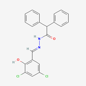 molecular formula C21H16Cl2N2O2 B1190904 N'-(3,5-dichloro-2-hydroxybenzylidene)-2,2-diphenylacetohydrazide 