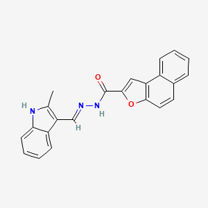 molecular formula C23H17N3O2 B1191118 N'-[(2-methyl-1H-indol-3-yl)methylene]naphtho[2,1-b]furan-2-carbohydrazide 