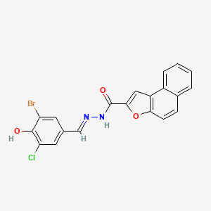 molecular formula C20H12BrClN2O3 B1191119 N'-(3-bromo-5-chloro-4-hydroxybenzylidene)naphtho[2,1-b]furan-2-carbohydrazide 