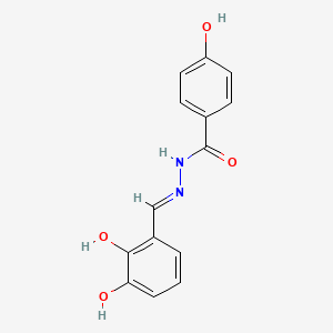 N'-(2,3-dihydroxybenzylidene)-4-hydroxybenzohydrazide