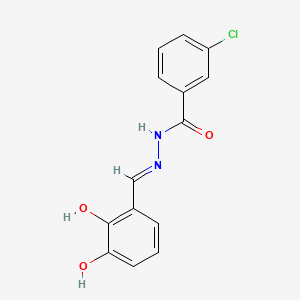 molecular formula C14H11ClN2O3 B1191286 3-chloro-N'-(2,3-dihydroxybenzylidene)benzohydrazide 