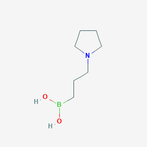 molecular formula C7H16BNO2 B11920909 (3-(Pyrrolidin-1-yl)propyl)boronic acid CAS No. 732942-28-8