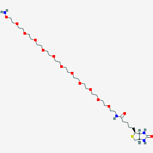 Biotin-PEG11-oxyamine