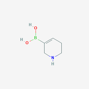 molecular formula C5H10BNO2 B11924542 (1,2,5,6-Tetrahydropyridin-3-yl)boronic acid 