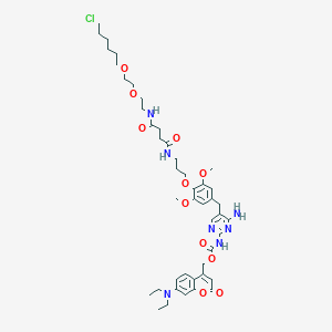 molecular formula C45H62ClN7O11 B1192564 Coumarin-TMP-Halo 