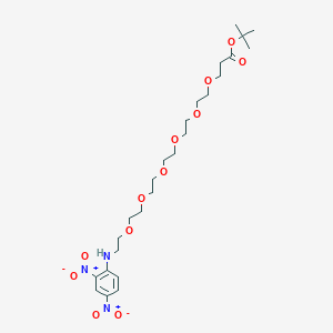 molecular formula C25H41N3O12 B1192580 DNP-PEG6-叔丁酯 