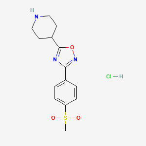 molecular formula C14H18ClN3O3S B11926515 3-[4-(Methylsulfonyl)phenyl]-5-(4-piperidyl)-1,2,4-oxadiazole Hydrochloride 