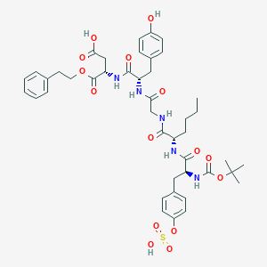 molecular formula C43H55N5O15S B119275 t-Butyloxycarbonyl-sulfotyrosyl-norleucyl-glycyl-tyrosyl-aspartyl-2-phenylethyl ester CAS No. 156586-96-8