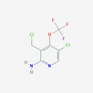 molecular formula C7H5Cl2F3N2O B11927573 5-Chloro-3-(chloromethyl)-4-(trifluoromethoxy)pyridin-2-amine 