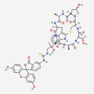 molecular formula C56H60N10O15S2 B11928578 Phalloidin-FITC 