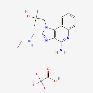 molecular formula C19H24F3N5O3 B11930064 1-[4-amino-2-(ethylaminomethyl)imidazo[4,5-c]quinolin-1-yl]-2-methylpropan-2-ol;2,2,2-trifluoroacetic acid 