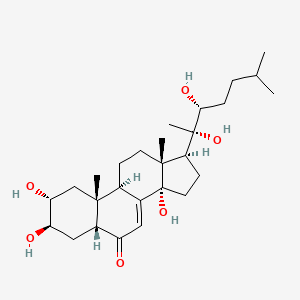 molecular formula C27H44O6 B11930341 (2R,3R,5R,9R,10R,13R,14S,17S)-17-[(2S,3R)-2,3-dihydroxy-6-methylheptan-2-yl]-2,3,14-trihydroxy-10,13-dimethyl-2,3,4,5,9,11,12,15,16,17-decahydro-1H-cyclopenta[a]phenanthren-6-one 