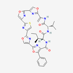 molecular formula C35H32N8O7S B11930572 mechercharmycin A 