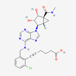 6-[2-chloro-6-[[[9-[(1S,2R,3S,4R,5S)-3,4-dihydroxy-5-(methylcarbamoyl)-2-bicyclo[3.1.0]hexanyl]purin-6-yl]amino]methyl]phenyl]hex-5-ynoic acid
