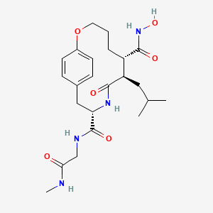 molecular formula C23H40N4O6 B1193489 类似物 55f [PMID: 11472217] 