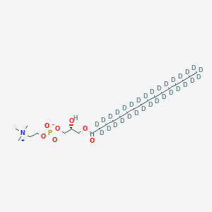 molecular formula C24H50NO7P B11936719 1-Palmitoyl-sn-glycero-3-phosphocholine-d31 