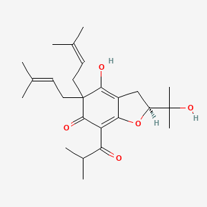 Garcinielliptone HD