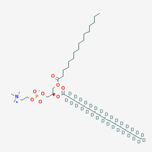 molecular formula C40H80NO8P B11938459 [(2R)-2-(2,2,3,3,4,4,5,5,6,6,7,7,8,8,9,9,10,10,11,11,12,12,13,13,14,14,15,15,16,16,16-hentriacontadeuteriohexadecanoyloxy)-3-hexadecanoyloxypropyl] 2-(trimethylazaniumyl)ethyl phosphate 