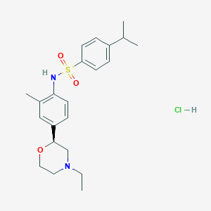 molecular formula C22H31ClN2O3S B11938477 N-[4-[(2S)-4-ethylmorpholin-2-yl]-2-methylphenyl]-4-propan-2-ylbenzenesulfonamide;hydrochloride 