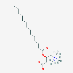 Myristoyl-L-carnitine-(N,N,N-trimethyl-d9), analytical standard