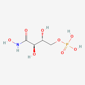 molecular formula C4H10NO8P B1194230 4-磷酸-D-赤藓糖羟肟酸 CAS No. 718599-64-5