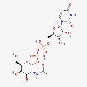 molecular formula C17H27N3O17P2 B1194417 尿苷二磷酸 N-乙酰葡萄糖胺 