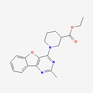 molecular formula C19H21N3O3 B1194610 1-(2-甲基-4-苯并呋喃[3,2-d]嘧啶基)-3-哌啶甲酸乙酯 