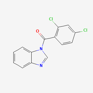 molecular formula C14H8Cl2N2O B1195231 1-(2,4-二氯苯甲酰基)-1H-苯并咪唑 