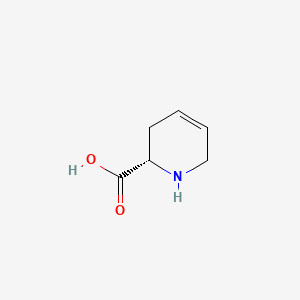 molecular formula C6H9NO2 B1195513 (S)-4,5-Didehydropipecolic acid CAS No. 31456-71-0