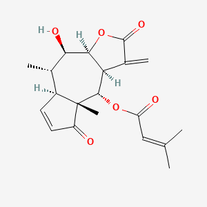 molecular formula C20H24O6 B1195517 Fastigilin C 