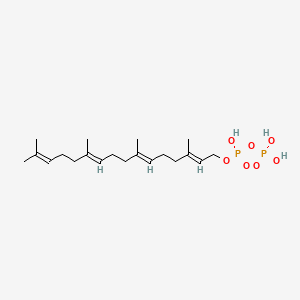 B1195527 Geranylgeranyl diphosphate CAS No. 6699-20-3