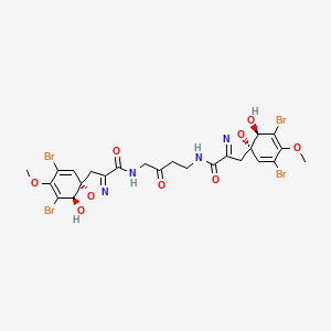 molecular formula C24H24Br4N4O9 B1195640 (5S,10R)-7,9-二溴-N-[4-[[(5S,10R)-7,9-二溴-10-羟基-8-甲氧基-4-氧杂-3-氮杂螺[4.5]癸-2,6,8-三烯-2-羰基]氨基]-3-氧代丁基]-10-羟基-8-甲氧基-4-氧杂-3-氮杂螺[4.5]癸-2,6,8-三烯-2-甲酰胺 