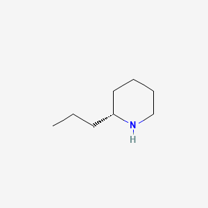 molecular formula C8H17N B1195747 (-)-Coniine CAS No. 5985-99-9