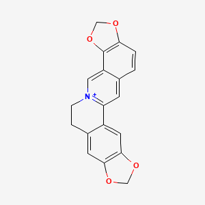 molecular formula C19H14NO4+ B1195855 黄连碱 CAS No. 3486-66-6