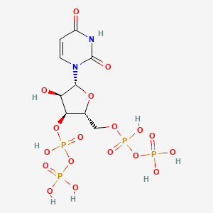 molecular formula C9H16N2O18P4 B1196054 Uridine 3'-diphosphate 5'-diphosphate CAS No. 52591-55-6