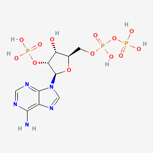 molecular formula C10H16N5O13P3 B1196211 2'-Monophosphoadenosine-5'-diphosphate CAS No. 4457-01-6