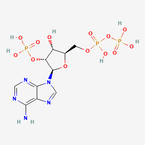 molecular formula C10H16N5O13P3 B1196211 2'-单磷酸腺苷-5'-二磷酸 CAS No. 4457-01-6