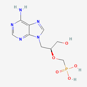 molecular formula C9H14N5O5P B1196281 Hpmpa CAS No. 92999-29-6