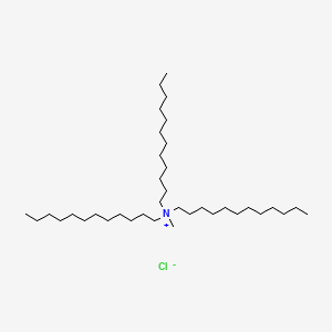 molecular formula C37H78ClN B1196287 三十二烷基甲基氯化铵 CAS No. 7173-54-8