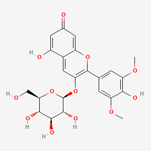molecular formula C23H24O12 B1196349 malvidin 3-O-beta-D-glucoside betaine 