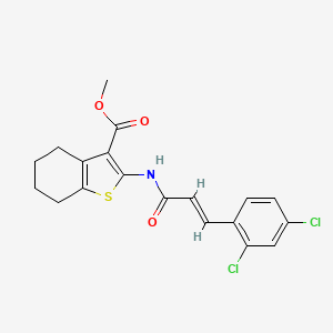 methyl 2-{[(2E)-3-(2,4-dichlorophenyl)-2-propenoyl]amino}-4,5,6,7-tetrahydro-1-benzothiophene-3-carboxylate