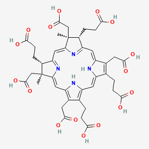 molecular formula C42H46N4O16 B1196429 Sirohydrochlorin CAS No. 65207-12-7
