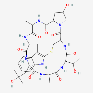 molecular formula C35H48N8O10S B1196438 Phalloin CAS No. 28227-92-1