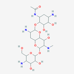 molecular formula C23H43N5O12 B1196506 N-[5-氨基-2-[[7-氨基-2-[5-氨基-3,4-二羟基-6-(羟甲基)氧杂-2-基]氧基-4-羟基-3-(甲基氨基)-2,3,4,4a,6,7,8,8a-八氢吡喃并[3,2-b]吡喃-6-基]氧基]-3,4-二羟基环己基]乙酰胺 