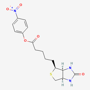 molecular formula C16H19N3O5S B1196719 (+)-生物素 4-硝基苯酯 CAS No. 33755-53-2